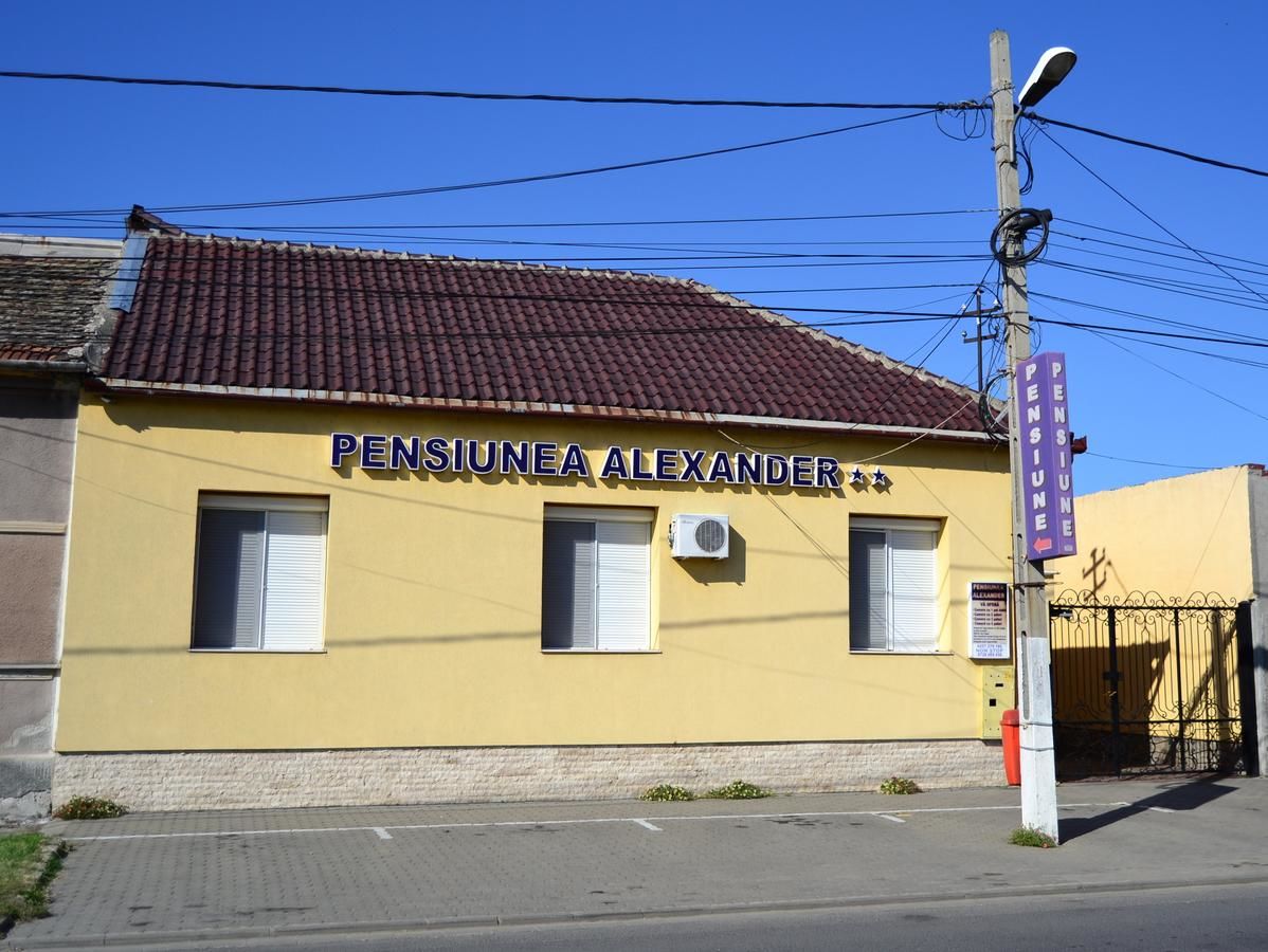 Гостевой дом Pensiunea Alexander Арад-5