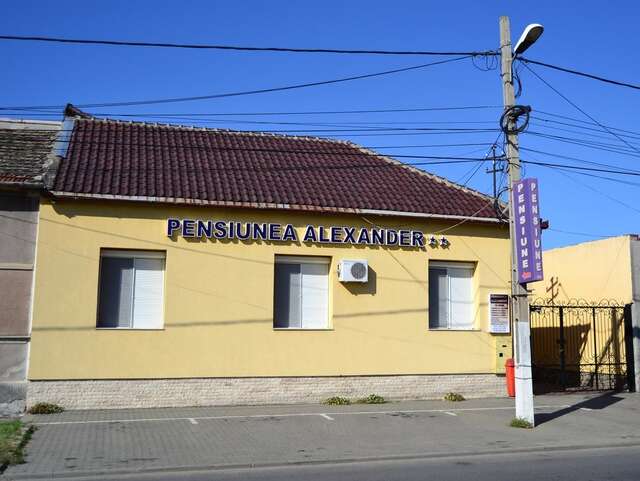 Гостевой дом Pensiunea Alexander Арад-4